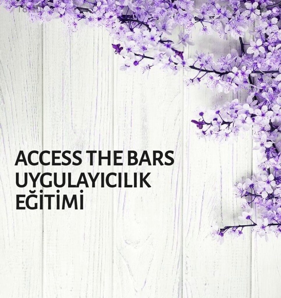 Access The Bars Uygulayıcılık Eğitimi
