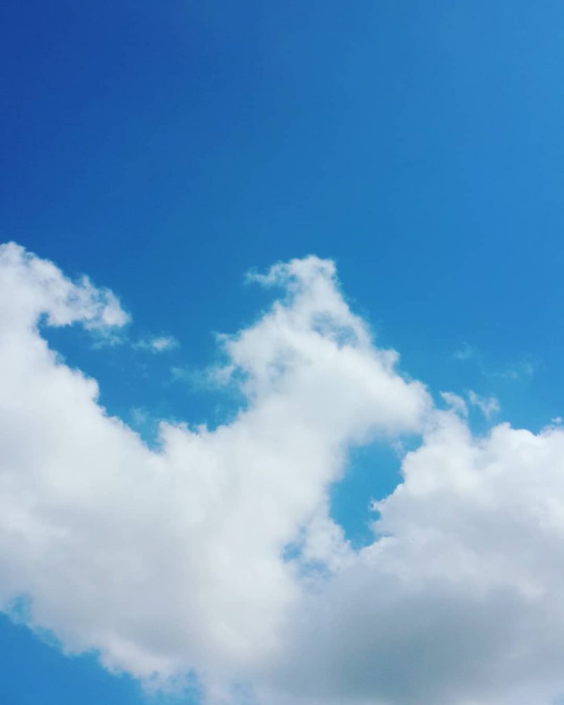 ZİHNİM SUS VE GERÇEK ORTAYA ÇIKSIN.